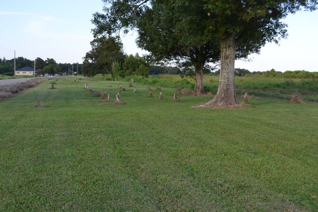 256 E 25th Place, Larose, LA 70373