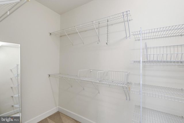 8873 WHITE ORCHID PL, Lorton, VA 22079