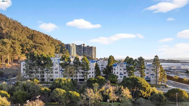 535 Pierce St 2110, Albany, CA 94706