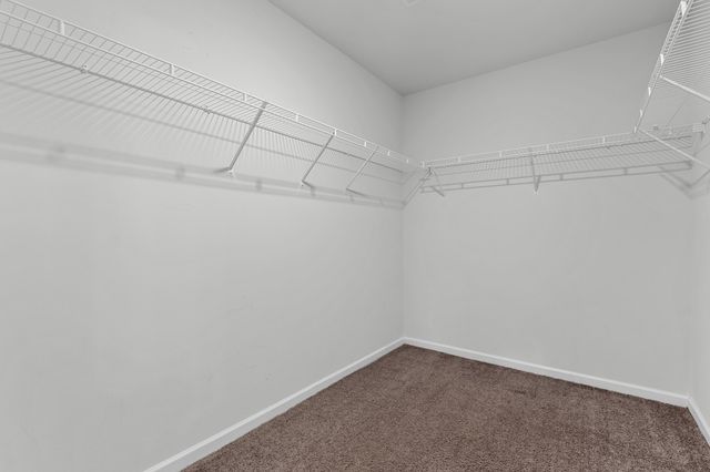 1949 Cold Rocks Way, Lexington, SC 29073