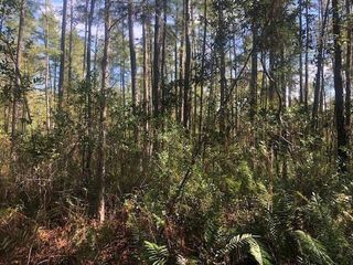 0 Old Grade Road, Polk City, FL 33868
