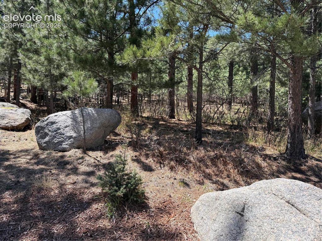 5630 Jarman Street, Colorado Springs, CO 80906 — photo 4