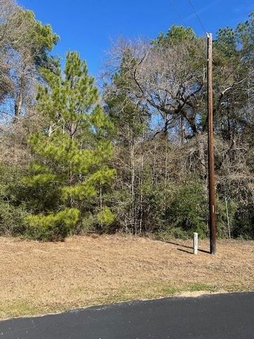 7994 Rodeo Drive, Waller, TX 77484