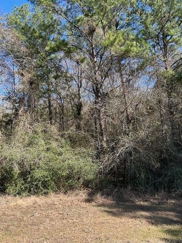 7994 Rodeo Drive, Waller, TX 77484