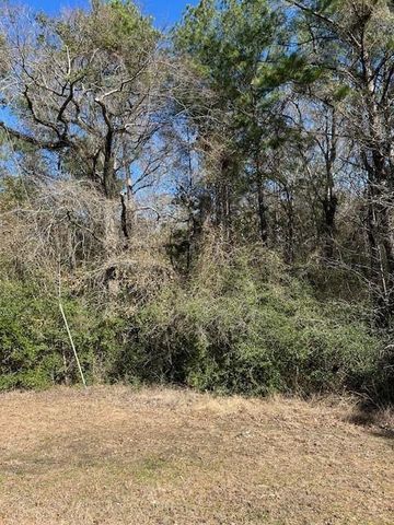 7994 Rodeo Drive, Waller, TX 77484