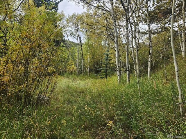 531 Caribou Rd, Nederland, CO 80466