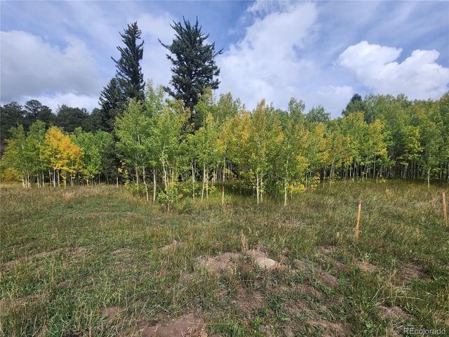 531 Caribou Rd, Nederland, CO 80466