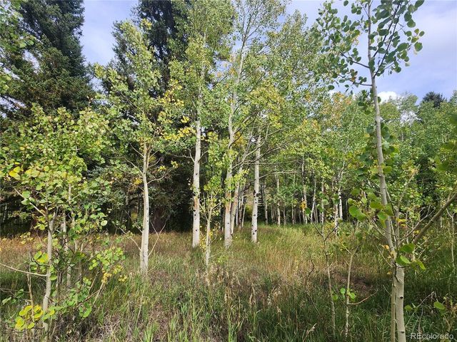 531 Caribou Rd, Nederland, CO 80466