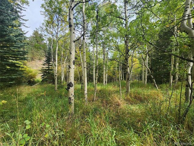 531 Caribou Rd, Nederland, CO 80466