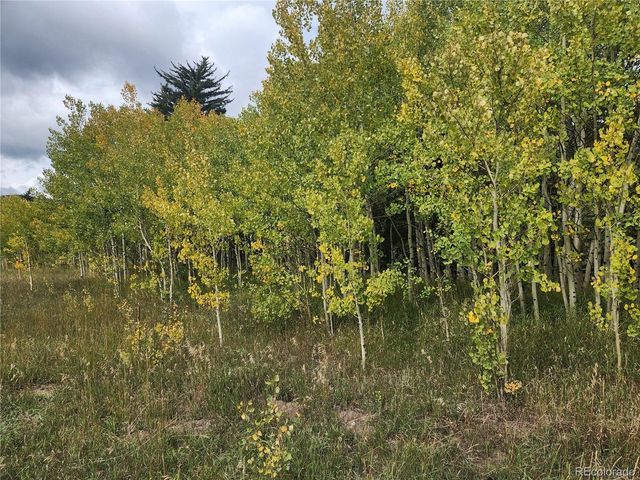 531 Caribou Rd, Nederland, CO 80466