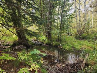 531 Caribou Rd, Nederland, CO 80466