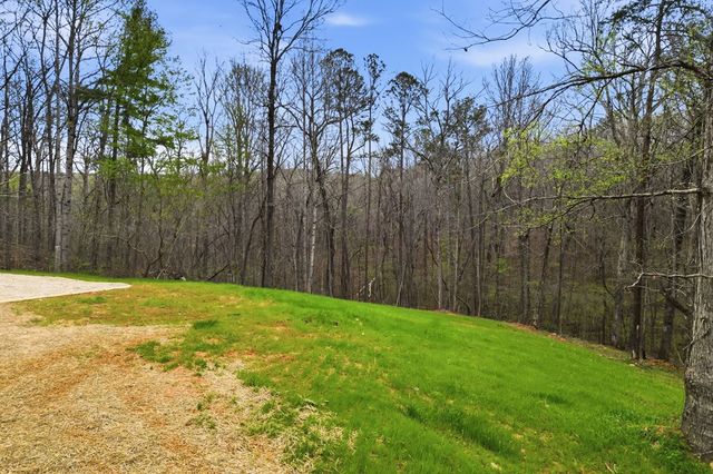 240 Cherokee Wood Hollow Drive, Ball Ground, GA 30107