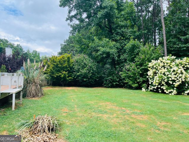 55 Tyler Woods Drive, Sharpsburg, GA 30277