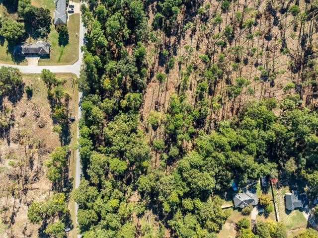 0 Pintail, Flint, TX 75762