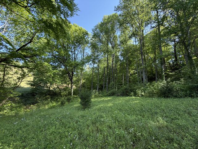 0 Steam Mill Hollow Road Tract 1, Williamsport, TN 38487