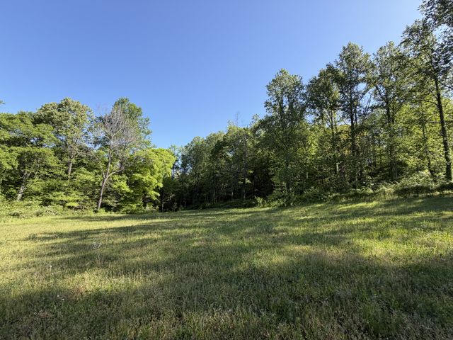 0 Steam Mill Hollow Road Tract 1, Williamsport, TN 38487
