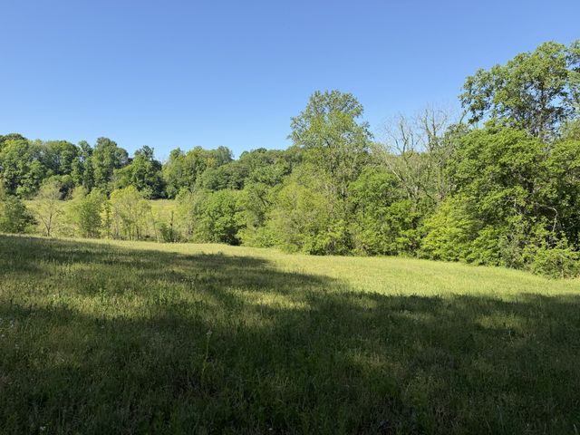 0 Steam Mill Hollow Road Tract 1, Williamsport, TN 38487