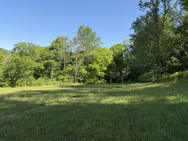 0 Steam Mill Hollow Road Tract 1, Williamsport, TN 38487