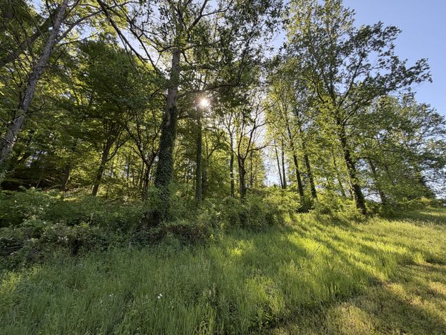 0 Steam Mill Hollow Road Tract 1, Williamsport, TN 38487