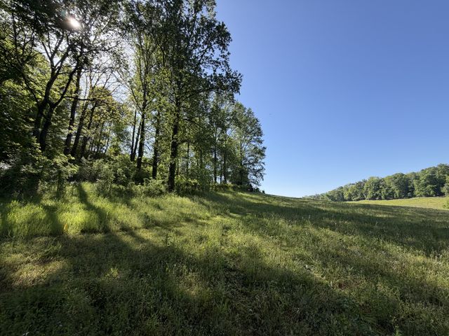 0 Steam Mill Hollow Road Tract 1, Williamsport, TN 38487