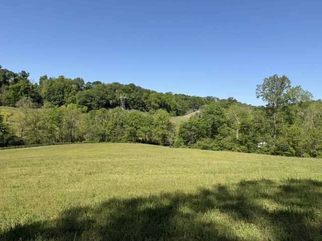 0 Steam Mill Hollow Road Tract 1, Williamsport, TN 38487