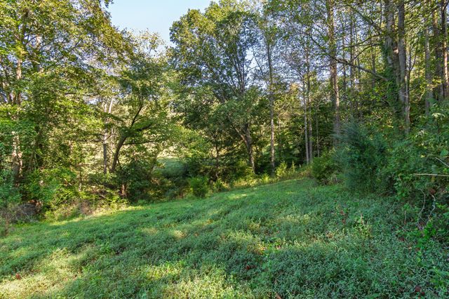0 Steam Mill Hollow Road Tract 1, Williamsport, TN 38487