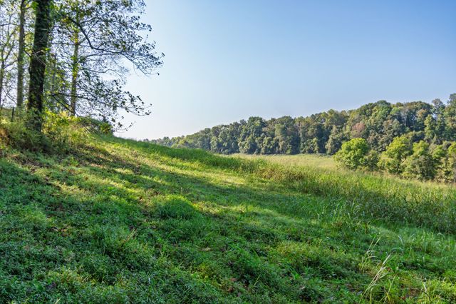 0 Steam Mill Hollow Road Tract 1, Williamsport, TN 38487