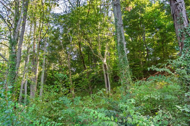 0 Steam Mill Hollow Road Tract 1, Williamsport, TN 38487