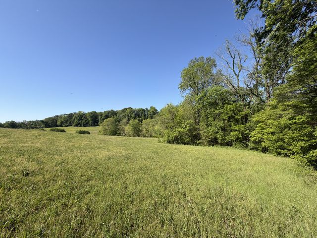 0 Steam Mill Hollow Road Tract 1, Williamsport, TN 38487