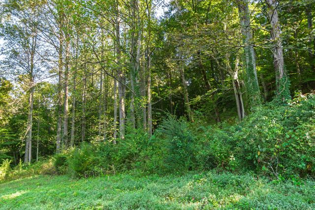 0 Steam Mill Hollow Road Tract 1, Williamsport, TN 38487