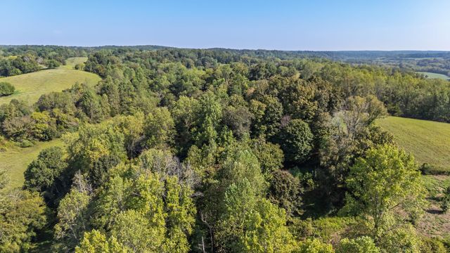 0 Steam Mill Hollow Road Tract 1, Williamsport, TN 38487