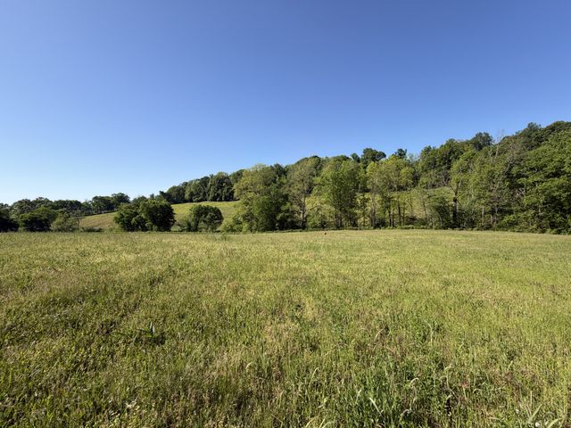 0 Steam Mill Hollow Road Tract 1, Williamsport, TN 38487