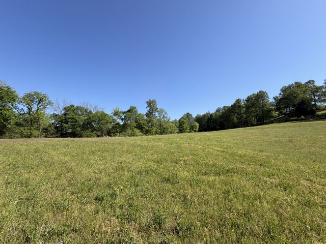 0 Steam Mill Hollow Road Tract 1, Williamsport, TN 38487
