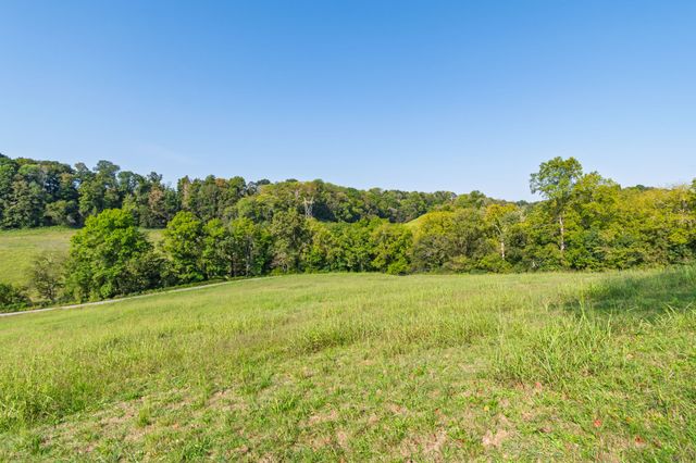 0 Steam Mill Hollow Road Tract 1, Williamsport, TN 38487