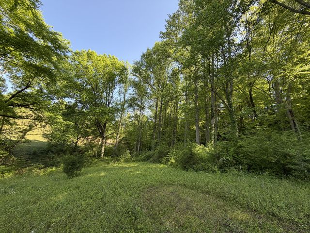 0 Steam Mill Hollow Road Tract 1, Williamsport, TN 38487