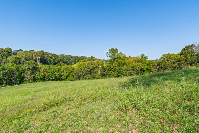 0 Steam Mill Hollow Road Tract 1, Williamsport, TN 38487