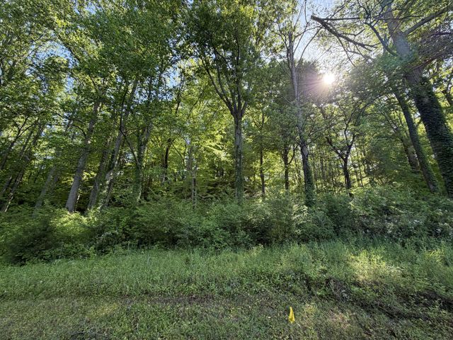0 Steam Mill Hollow Road Tract 1, Williamsport, TN 38487