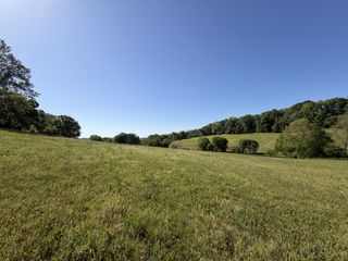 0 Steam Mill Hollow Road Tract 1, Williamsport, TN 38487