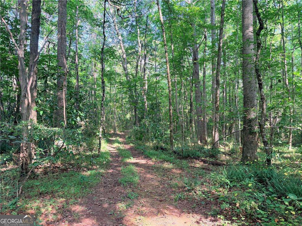 6394 Shore Drive, Douglasville, GA 30135 — photo 5