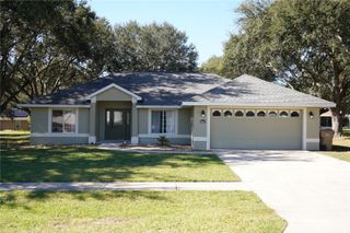 36517 FRANCIS DRIVE, Grand Island, FL 32735