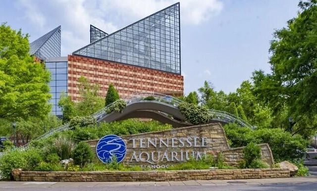 7603 Nightingale Court 51, Chattanooga, TN 37421