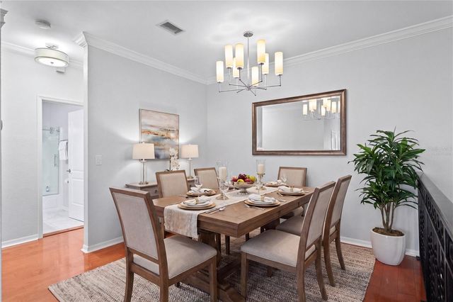 919 NORMANDY TRACE ROAD, Tampa, FL 33602