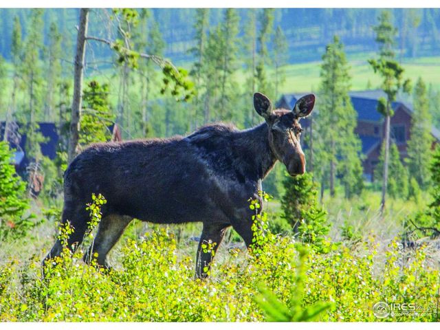 1680 Continental Peaks Cir, Estes Park, CO 80517