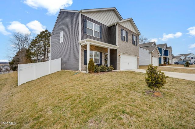 146 Thistle Drive, Bluff City, TN 37618