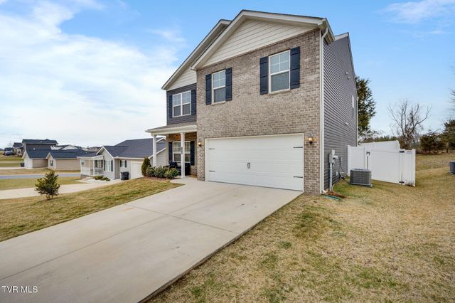 146 Thistle Drive, Bluff City, TN 37618