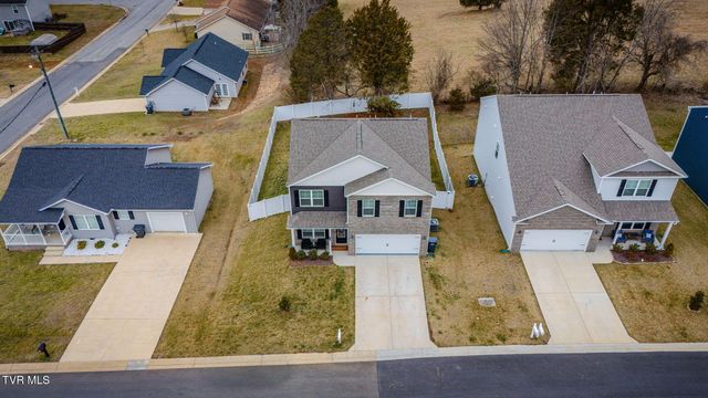 146 Thistle Drive, Bluff City, TN 37618