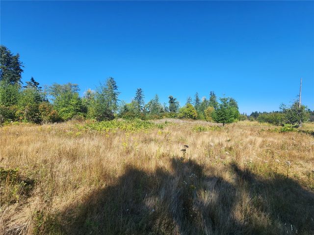 31208 Lebor Devore Road E, Eatonville, WA 98328