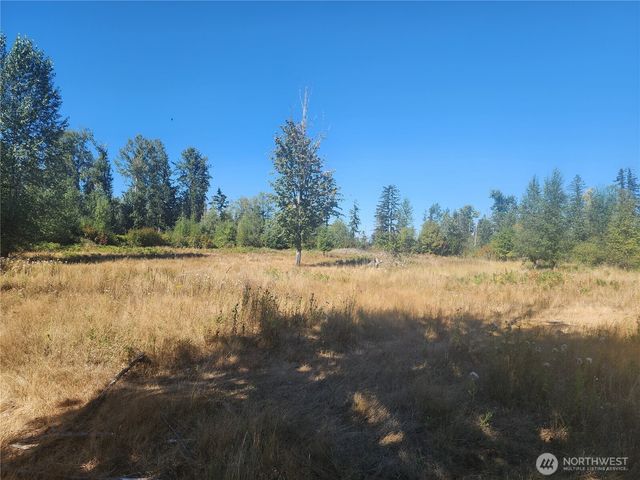 31208 Lebor Devore Road E, Eatonville, WA 98328