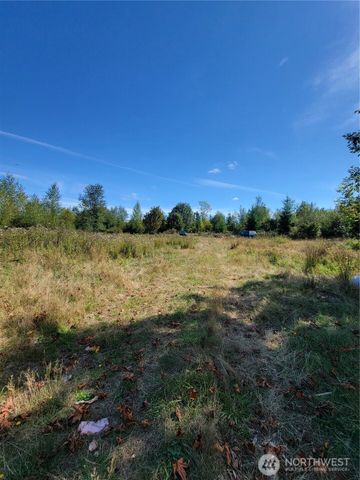 31208 Lebor Devore Road E, Eatonville, WA 98328