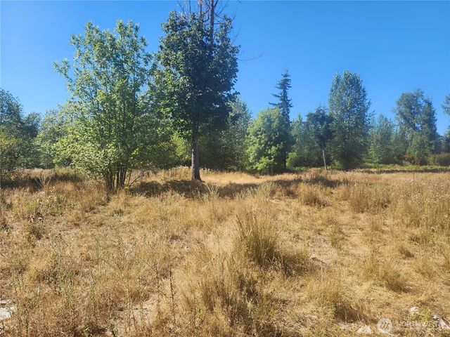 31208 Lebor Devore Road E, Eatonville, WA 98328